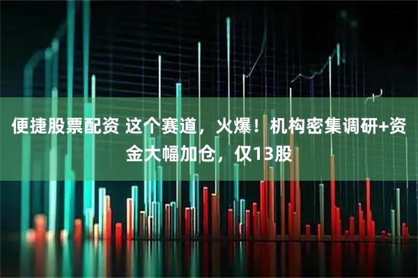 便捷股票配资 这个赛道，火爆！机构密集调研+资金大幅加仓，仅13股