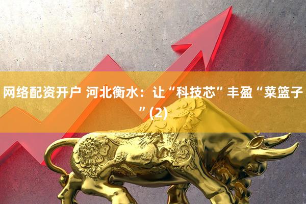 网络配资开户 河北衡水：让“科技芯”丰盈“菜篮子”(2)