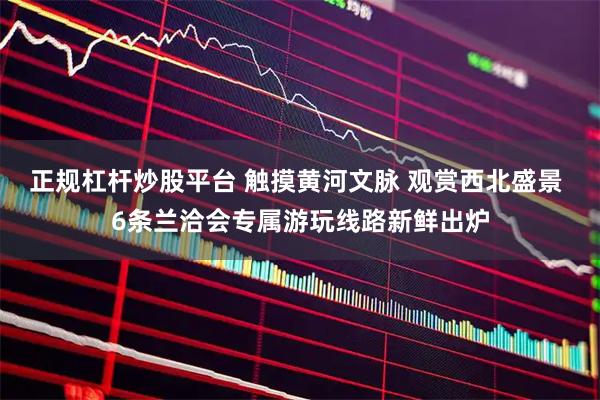 正规杠杆炒股平台 触摸黄河文脉 观赏西北盛景 6条兰洽会专属游玩线路新鲜出炉